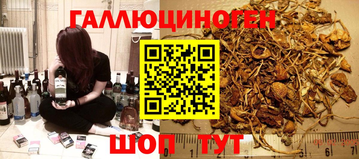 Псилоцибиновые грибы Psilocybe Лысьва