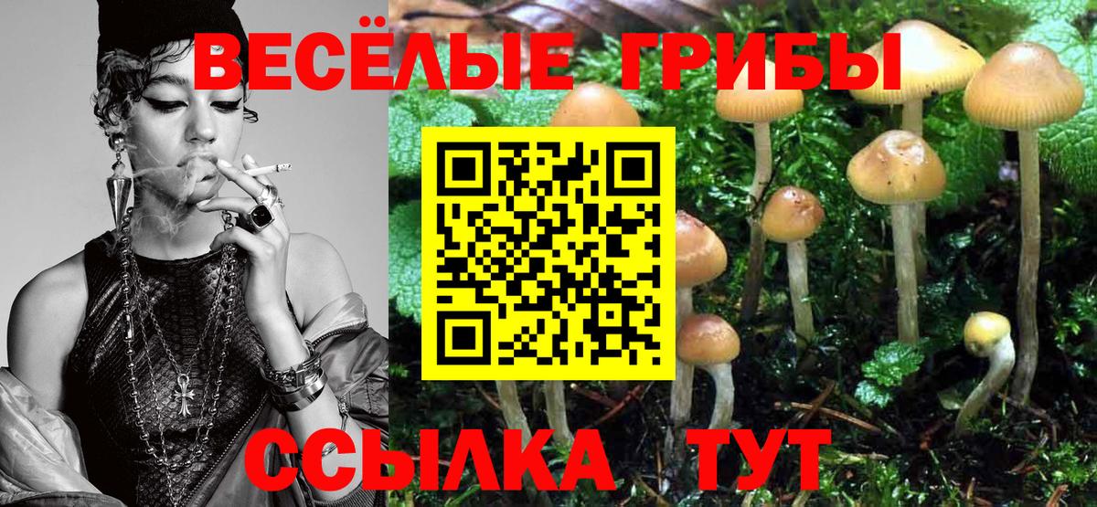 закладки  Галлюциногенные грибы Cubensis  Вход с VPN  Галлюциногенные грибы прущие грибы  Лысьва 